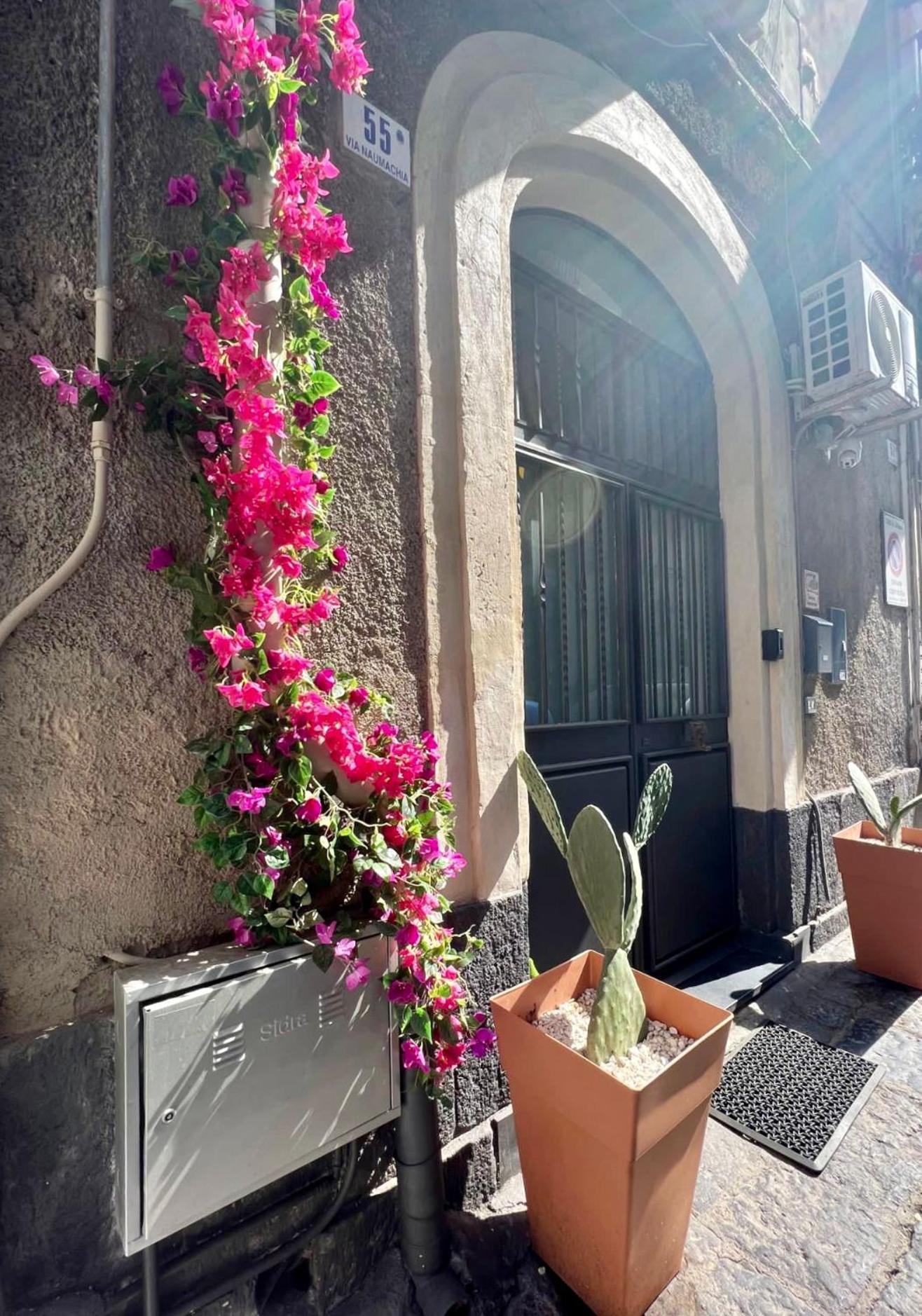 Ursino Holiday Apartment CTA Exterior foto